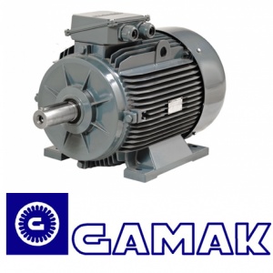 لیست قیمت الکتروموتور گاماک (GAMAK)