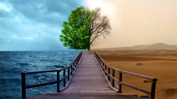 محیط زیست