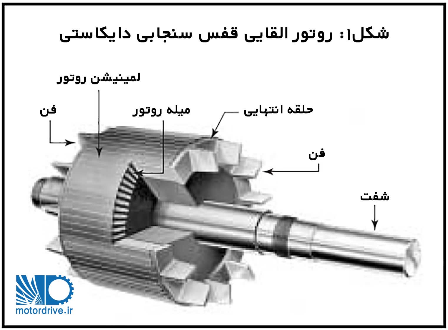 روتور القایی قفس سنجابی دایکاستی